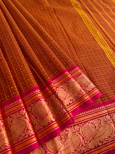 GODAVARI: KANCHIPURAM PURE COTTON SAREE WITH BORDERS.