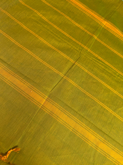 YAMUNA; Kanchipuram cotton saree