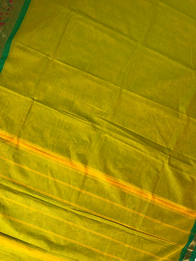 YAMUNA; Kanchipuram cotton saree