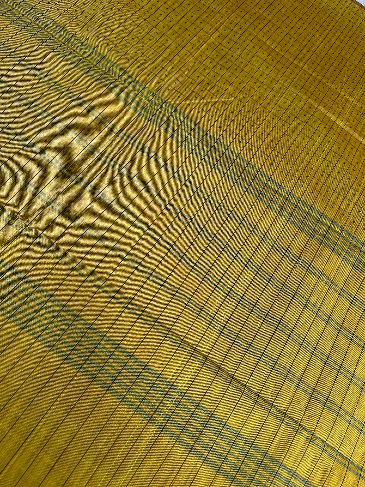 JHELAM: Kanchipuram cotton saree