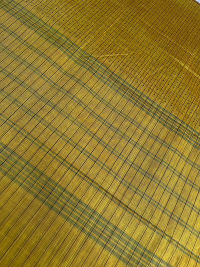 JHELAM: Kanchipuram cotton saree