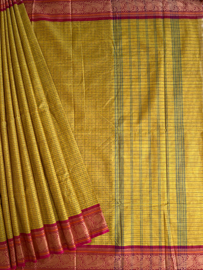 JHELAM: Kanchipuram cotton saree