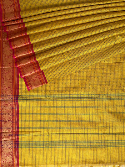 JHELAM: Kanchipuram cotton saree