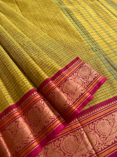 JHELAM: Kanchipuram cotton saree