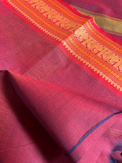 YAMUNA; Kanchipuram cotton saree