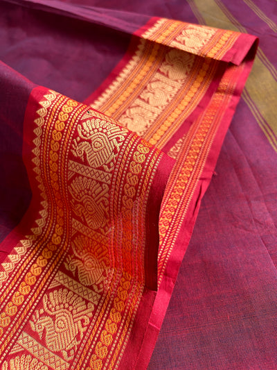 YAMUNA; Kanchipuram cotton saree