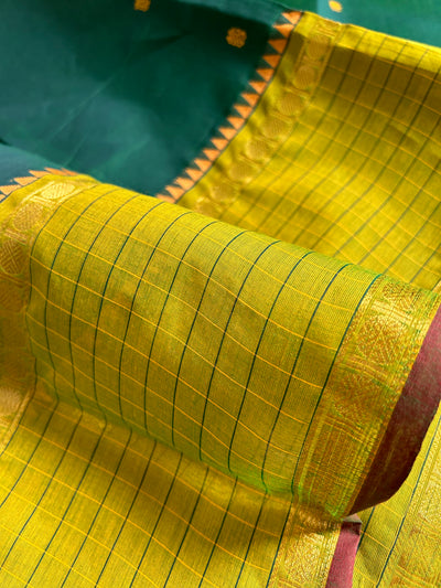 BRAHMAPUTRA: KANCHIPURAM COTTON SAREE