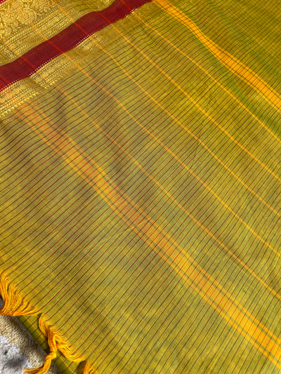 GODAVARI: Kanchipuram cotton saree