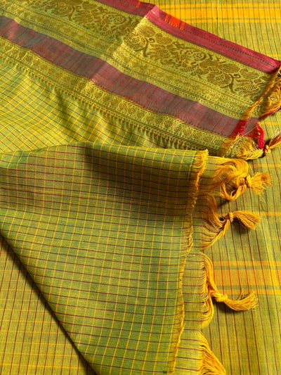 GODAVARI: Kanchipuram cotton saree