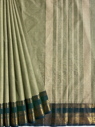 JHELAM: Kanchipuram cotton saree