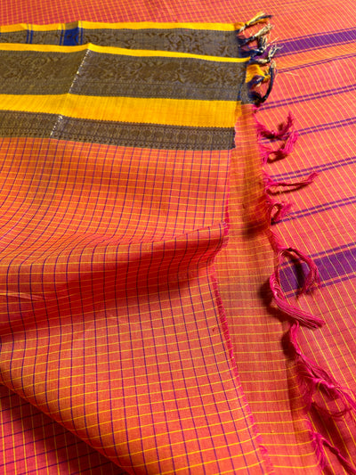 CHAMBA: Kanchipuram cotton saree