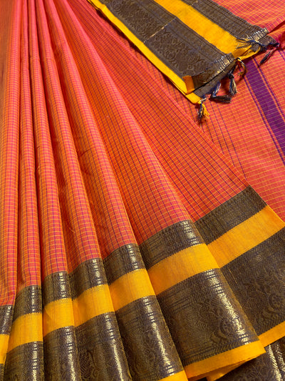 CHAMBA: Kanchipuram cotton saree