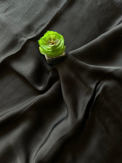 BLACK&WHITE:HANDMADE TIE&DYE MODAL SILK SAREE WITH TISSUE PALLU