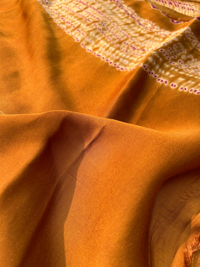 HUKUM :Handmade Shibori Dyed Modal Silk Tissue Pallu Saree