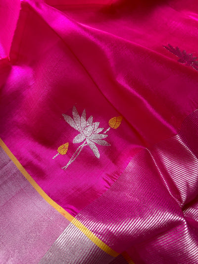 Raj Kamal: HANDLOOM PURE SILK CHANDERI SAREE WITH EK NALIYA BOOTA