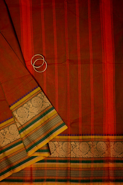 JHELAM: Kanchipuram cotton saree